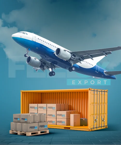 Feel Export